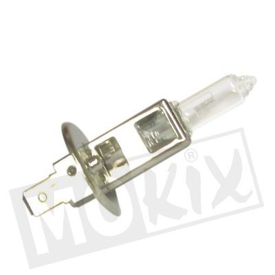 lamp 12V  55w H1